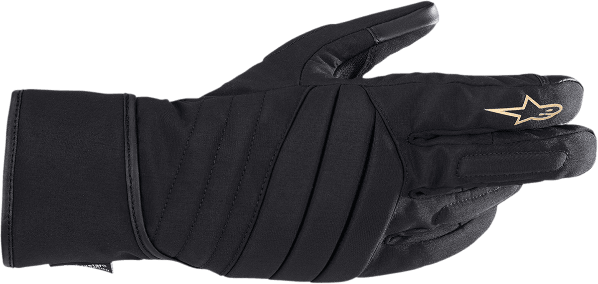 Guantes Alpinestars Stella SR-3 V2 Drystar Negro ( image_1